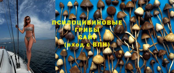 гашиш Елизово