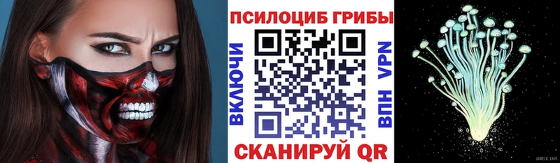 Галлюциногенные грибы Psilocybine cubensis  дарнет шоп  Кудрово 