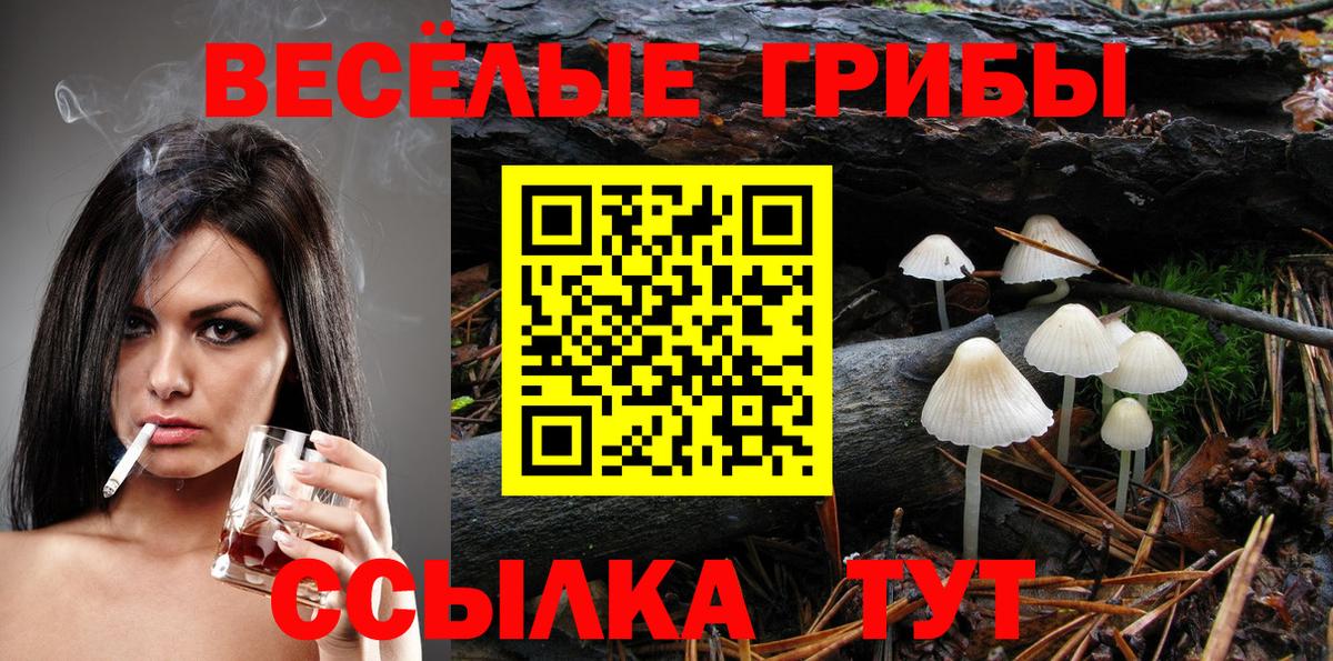 Кудрово  Псилоцибиновые грибы Psilocybe  Вход с VPN  Псилоцибиновые грибы мицелий 