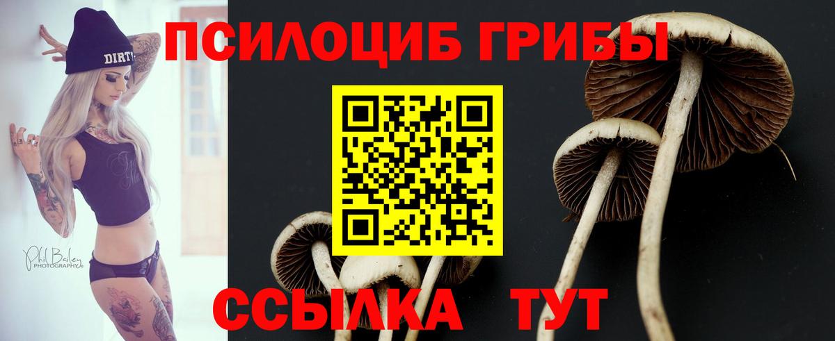 Псилоцибиновые грибы прущие грибы Кудрово